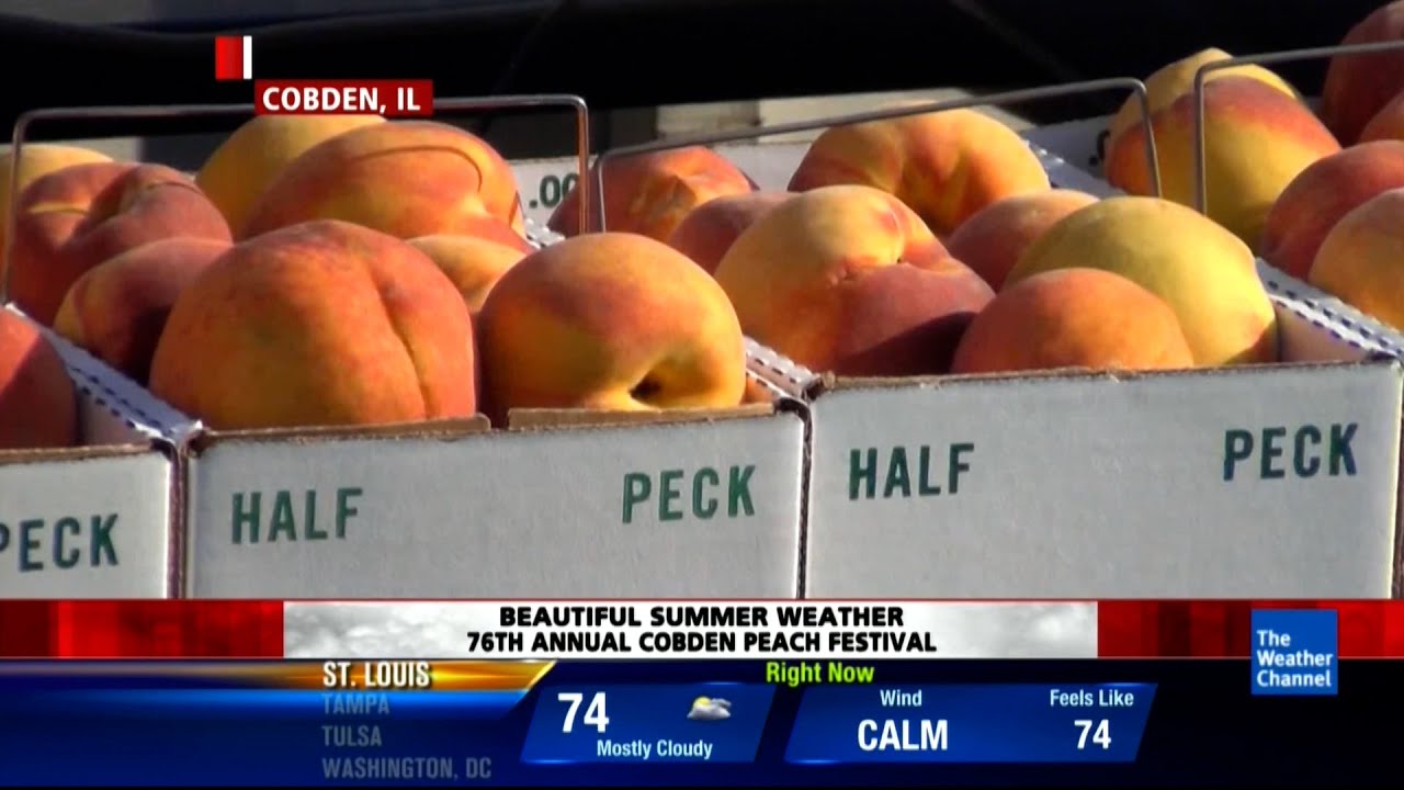 The Weather Channel (2013) Cobden Peach Festival in Southern IL YouTube