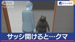 住宅にクマ侵入 夫婦が重傷 「サッシ開けたらクマ」住民語る【スーパーJチャンネル】(2024年5月31日)