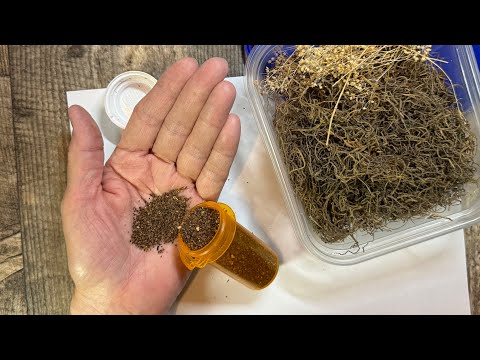 Quick tip with Joy #113. Need grass and dirt? You are going to love my tip.