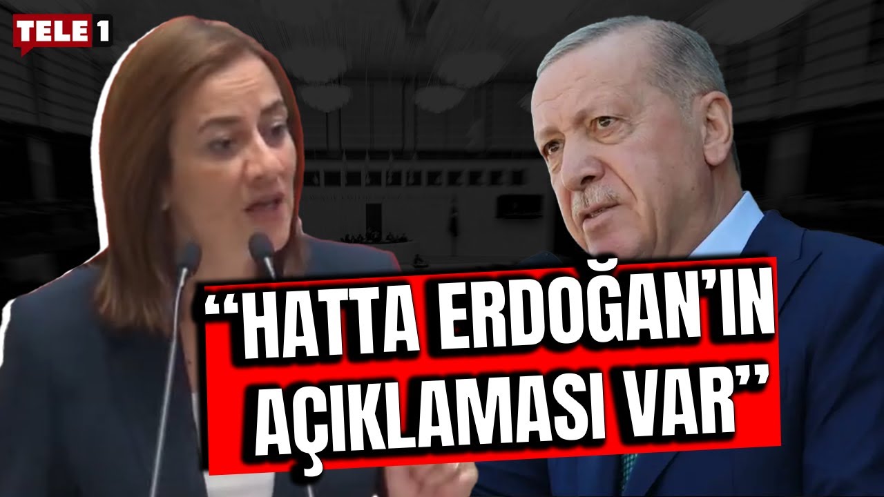 Doğuş Derya KKTC Meclisi'nde ABD projesini anlattı: Haritasında Türkiye Cumhuriyeti yok
