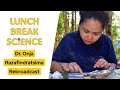 Seed Dispersal by Lemurs | Dr. Onja Razafindratsima | Rebroadcast | Lunch Break Science