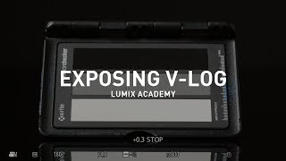 Exposing V-Log