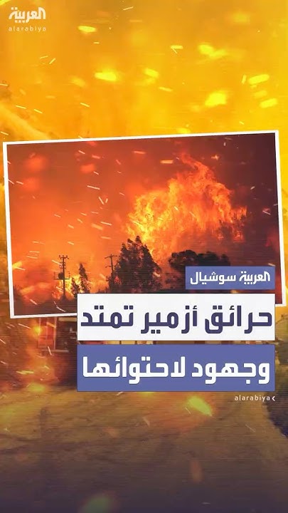         
 - نشر قبل 53 دقيقة