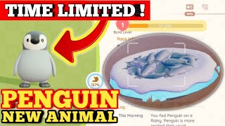 Heartopia | How to Locate PENGUIN #heartopia #howto