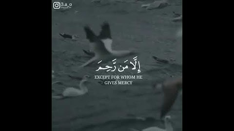 وَهِيَ تَجْرِي بِهِمْ فِي مَوْجٍ كَالْجِبَالِ وَنَادَىٰ نُوحٌ ابْنَهُ ||للقارئ إسلام صبحي||إسمع🎧