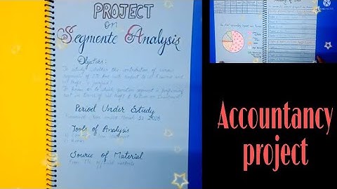Accountancy project class 12 | cbse | project on segment analysis