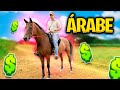 CAVALO ÁRABE * A Raça dos Sheiks