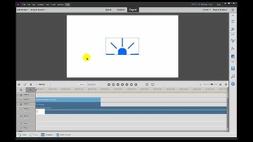 Flashing items in Adobe Premiere Elements