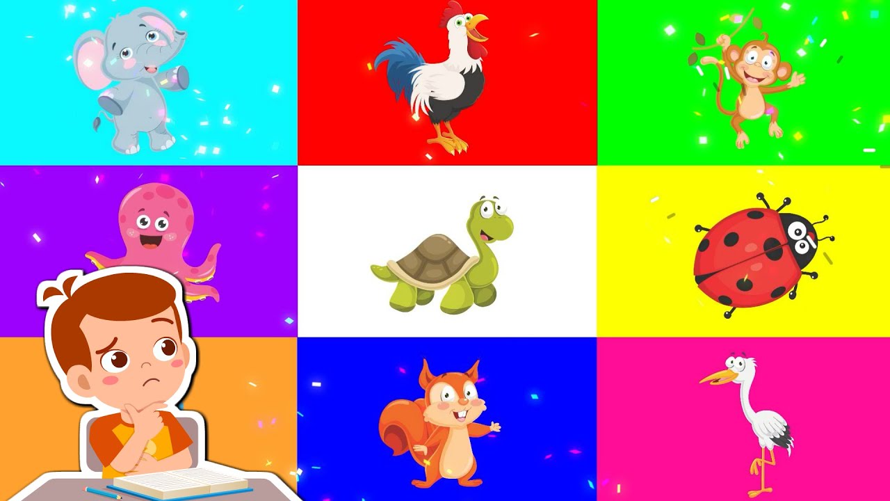 🐯 Bajki dla dzieci - Zwierzęta - Filmy edukacyjne po polsku