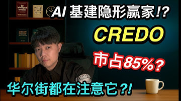 暴涨 300% 还没结束？Credo这家公司正站上 AI 大潮核心位置！AI 基建黑马？CRDO 的真正价值远超现价！AEC 到光互联,增长曲线太夸张了！#CRDO#Credo#AI基建#数据中心