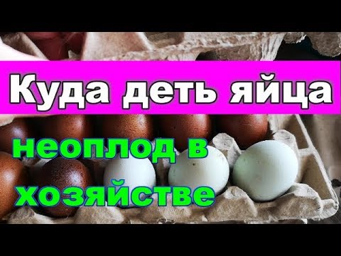 Правильно продавать куриные яйца на вес