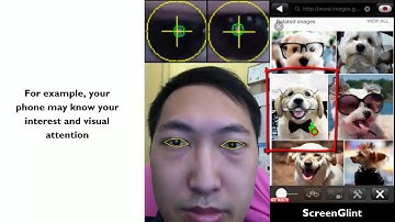 ScreenGlint: Practical, In-situ Gaze Estimation on Smartphones