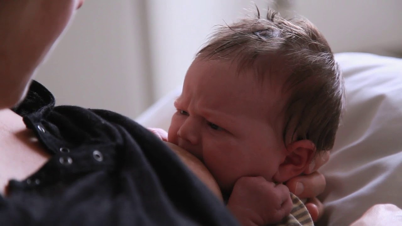 Download L'allaitement maternel : une aventure unique