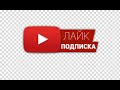 Тикси 01 01 2021 прогулка в 12 часов