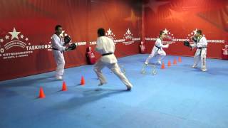 WORLD TAEKWONDO TRAINING PROGRAM- DVD NO.12