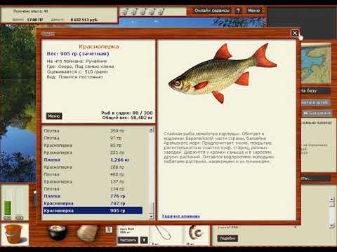 Хотите ловить только зачетную рыбу в русской рыбалке 3? Тогда вам сюда.