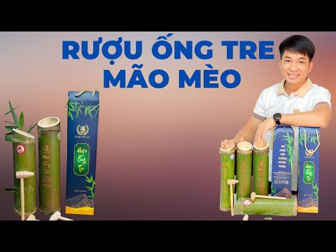 Video Khám Phá Rượu Ống Tre - Rượu Ống Tre Mão Mèo - youtube