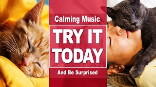 This music will calm your cat and you.🎧 Have fun with your cat 🌱relaxing music. by Wezoo Family 91 views 1 year ago 19 minutes