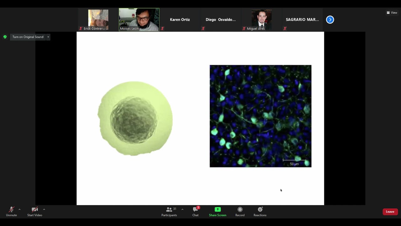 Biología Molecular 18 2021 04 30
