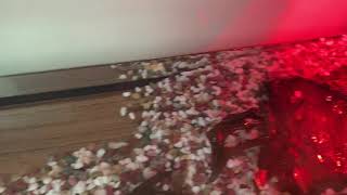 Reeves Turtle Tank Setup