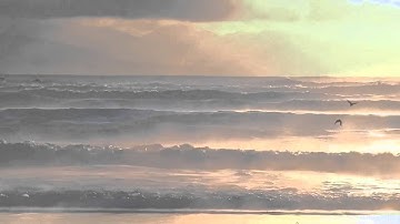 سورة المطففين القارئ إدريس الهاشمي