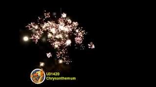 Dragon U31420 Silver Chrysanthemum 2012