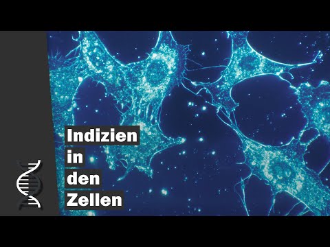 Video: Warum ist es schwierig, biochemische Reaktionen in Zellen zu verfolgen?