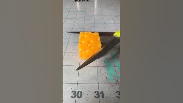 Will it Button? Cheese Squishy Toy 🧀