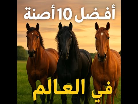 أفضل 10 سلالات أحصنة في العالم