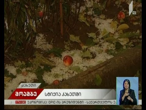 სტიქია კახეთში