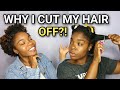 WHY I CUT MY NATURAL HAIR OFF! LETS TALK: Hair Dye, Split Ends, & More | TAM KAM