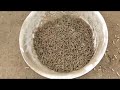 Make pellets by small feed pellet granulator machine