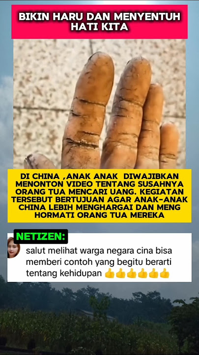 momen haru#trendingshort #videoviral #kisahinspiratif