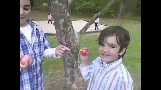 Greek Easter Egg Fight or Tsougrisma (Tσούγκρισμα)