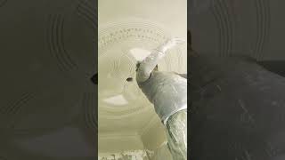 new POP design porch Chhat ceiling design flower🏵️ image video#viral #love #humor #like #👌