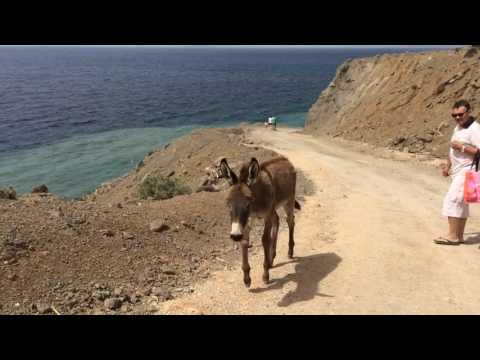 Путешествие на остров