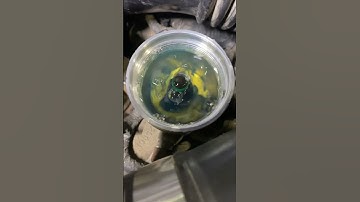 Ford 6.0 has a cracked injector