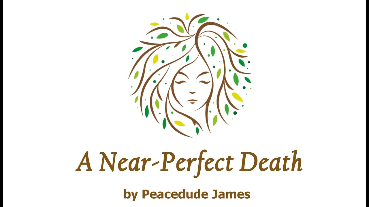 A Near Perfect Death, by Peacedude James