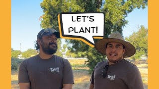 Planting Tutorial