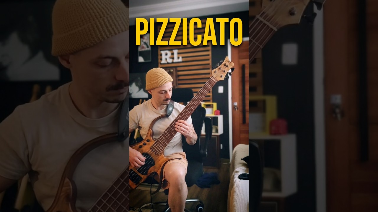 Pizzicato muted grooves Bass #bass #groove #musica