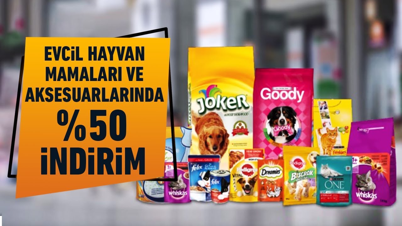 Tum Evcil Hayvan Mamalari Ve Aksesuarlarinda 50 Indirim Migros Ta Youtube