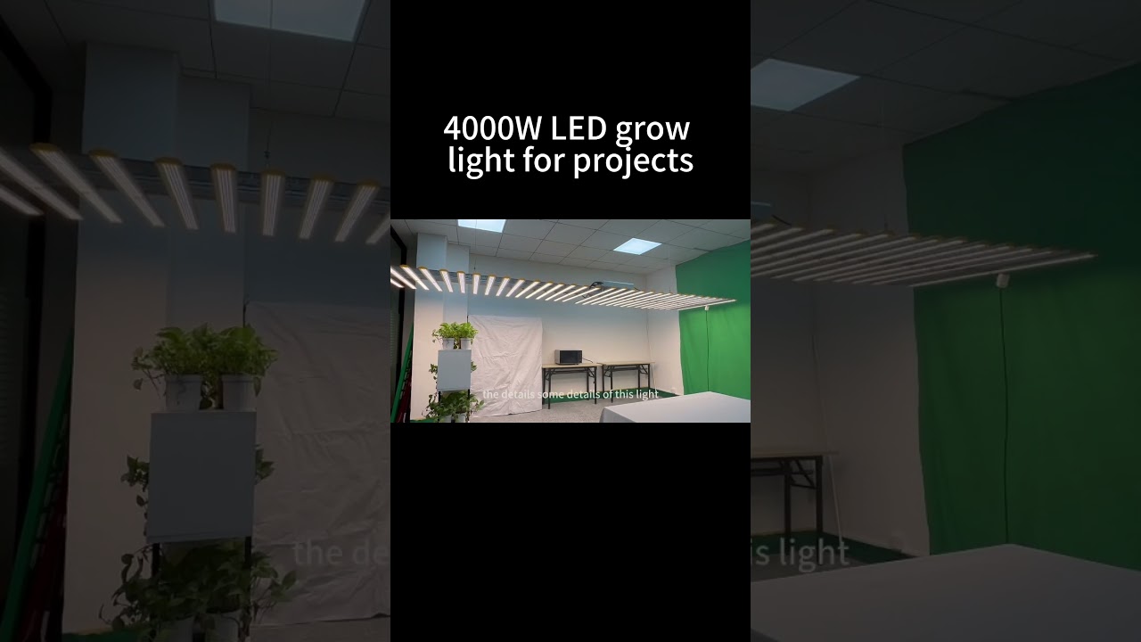4000W LED grow light for indoor cultvation projects for special plants