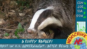 Random Animation Live Action Compilation Part 5