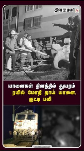 யானைகள் தினமான நேற்று, கேரளா - தமிழ்நாடு எல்லையான வாளையார் அருகே பெரும் சோகம் நிகழ்ந்துள்ளது.