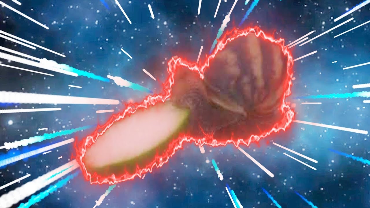 Snail Eating Cucumber Meme but snail gets high asf YouTube