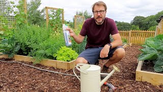 How to improve the quality of your soil in vegetable garden using
ecoworm vermicompost