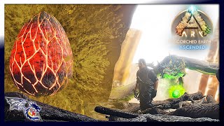 Just One More Egg | ARK: Scorched Earth Ascended #23