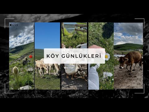 Köy Yaşamı ☁️🌿🐮 | Ardahan - Göle - Balçeşme Köyü Vlog