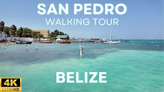 SanPadro Walk Tour walking walkingtour belize