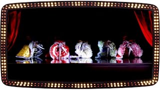 Download Lagu De dansende Cancan vingers | Popster! 2015 | Audities | SBS6 MP3 Download Lagu De dansende Cancan vingers | Popster! 2015 | Audities | SBS6 MP3